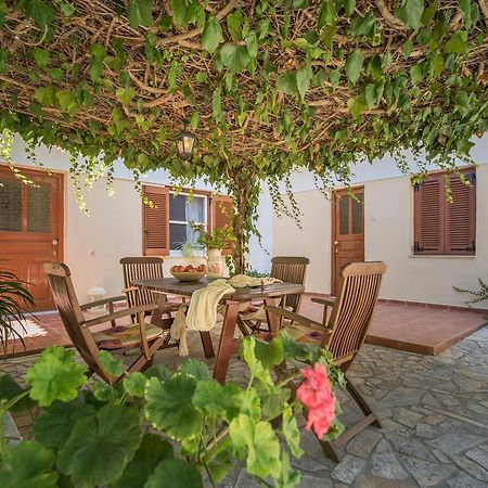 Physis Studios Vasilikí Exteriér fotografie